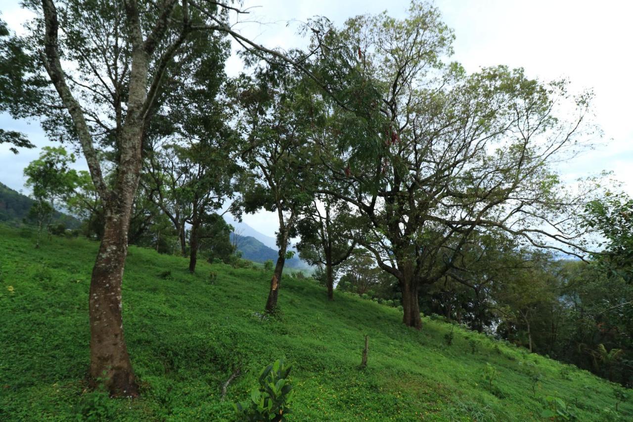 Ambady Estate Hotel Munnar Eksteriør billede